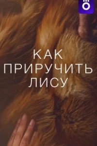 Как приручить лису