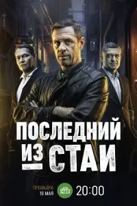 Последний из стаи
